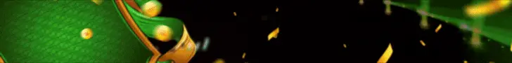 Banner 1